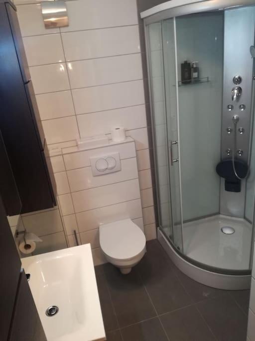 Casa Ferata - Holiday Home Vižinada Екстериор снимка